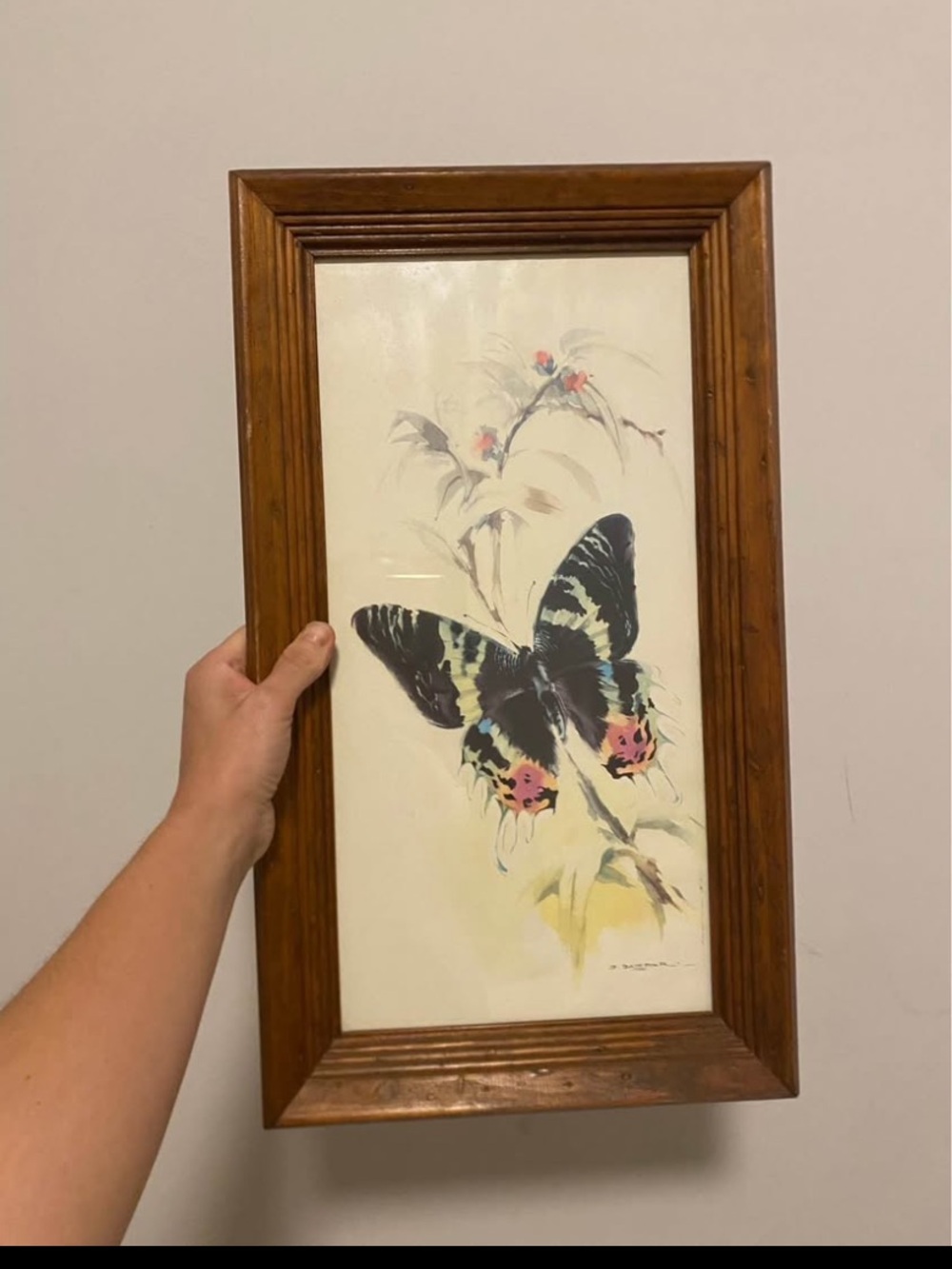 vintage framed lithograph print titled “Sunset Moth" by artist B. Ballestar